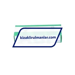 INA KWEM12-L-V1-G2A rulman resim 2