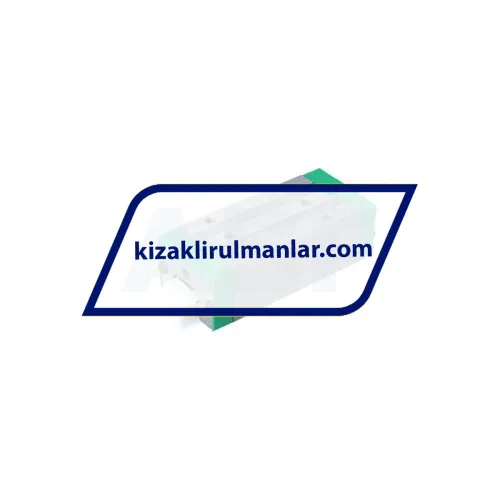 INA RWU25-E-HL-V3-G1