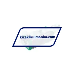 INA RWU25-E-HL-V3-G1 rulman resim 2