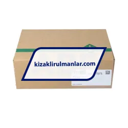 INA RWU25-E-HL-V3-G1 rulman resim 4