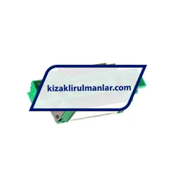 INA KWVE20-B-SN-RROC-V2-G3 rulman resim 2