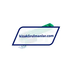 INA KWVE20-B-ESC-UG-V1-G3 rulman resim 2