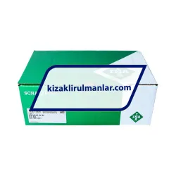 INA KWVE45-B-SL-V1-G4 rulman resim 4