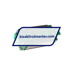 INA KWVE20-B-SL-UG-V2-G2 rulman resim 2