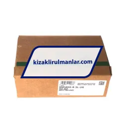 INA KWVE20-B-SL-UG-V2-G2 rulman resim 4