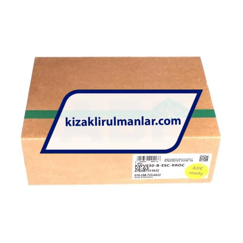 INA KWVE30-B-ESC-RROC-V2-G3 ürün fotoğrafı 4