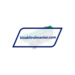 INA KWVE25-B-L-UG-V2-G2 rulman resim 2