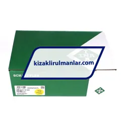 INA KWVE45-B-ESC-V1-G2 rulman resim 4