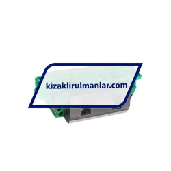 INA KWVE25-B-L-V1-G1 rulman resim 2