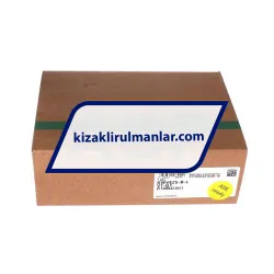 INA KWVE25-B-L-V1-G1 rulman resim 4