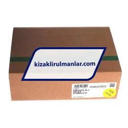 INA KWVE25-B-L-V0-G3 rulman resim 4