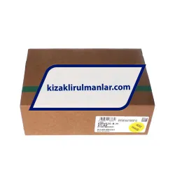 INA KWVE25-B-H-V1-G4 rulman resim 4