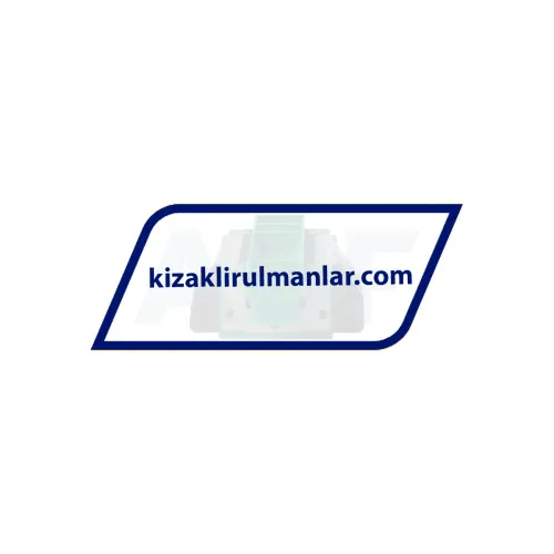 INA KWVE20-B-V0-G4 ürün fotoğrafı 3