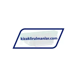 INA KWVE20-B-V0-G4 rulman resim 2
