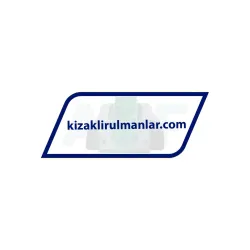 INA KWVE20-B-V0-G4 rulman resim 3