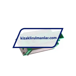 INA KWVE20-B-SNL-V1-G2 rulman resim 2