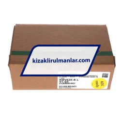 INA KWVE20-B-L-V1-G3 rulman resim 4
