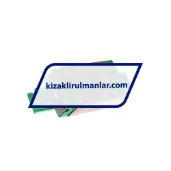 INA KWVE20-B-ES-V1-G1