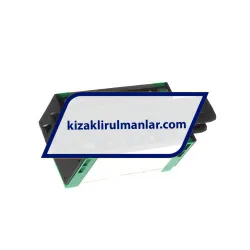 INA KWSE25-H-RROC-V1-G3 rulman resim 2