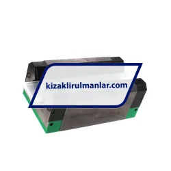 INA RWU55-E-H-V5-G2 rulman resim 2
