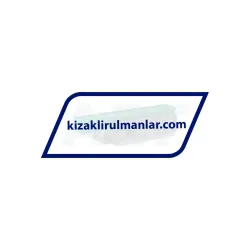 INA KWVE25-B-NL-V1-G2 rulman resim 2