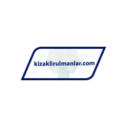 INA KWVE25-B-NL-V1-G2 rulman resim 3