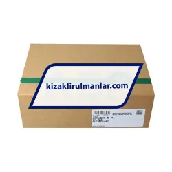 INA KWVE25-B-NL-V1-G2 rulman resim 4