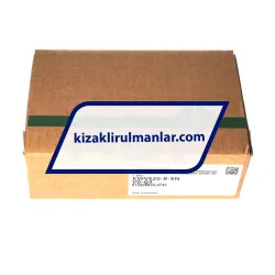 INA KWVE20-B-SN-V0-G4 rulman resim 4