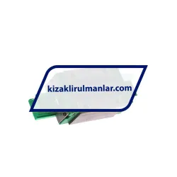 INA KWVE20-B-S-V2-G1