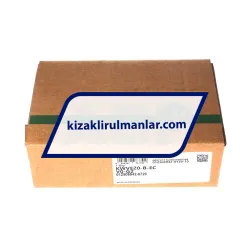 INA KWVE20-B-EC-V0-G2 rulman resim 4