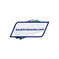 INA KWSE25-L-V1-G1