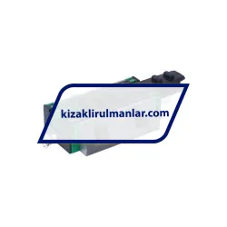 INA KWSE25-L-V1-G1 rulman resim 2