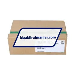 INA KWSE25-L-V1-G1 rulman resim 4