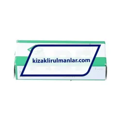 INA KWEM09-G2-G2/B_V0 rulman resim 2