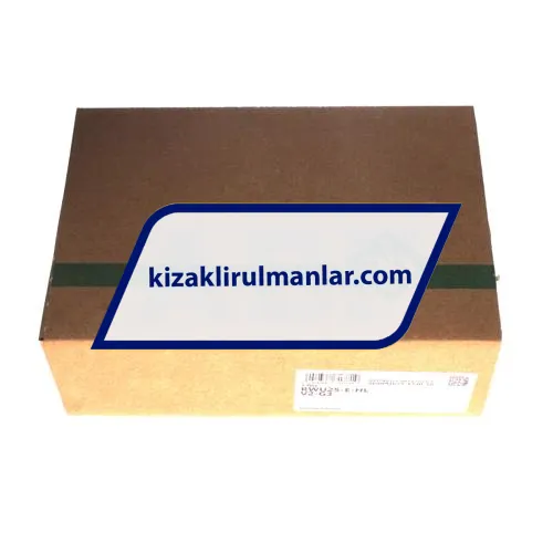 INA RWU25-E-HL-V2-G3 ürün fotoğrafı 4