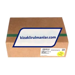 INA KWVE25-B-E-V2-G1 rulman resim 4