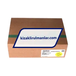 INA KWVE25-B-E-V1-G1 rulman resim 4