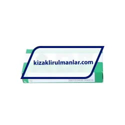 INA KWEM12-WL-V1-G2A rulman resim 2
