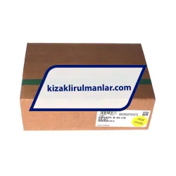 INA KWVE25-B-ES-UG-V2-G1 rulman resim 4