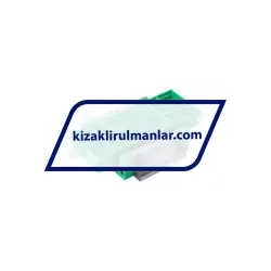 INA KWVE20-W-V1-G4 rulman resim 2
