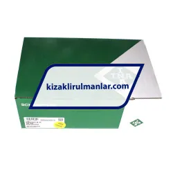 INA KWVE45-B-H-V0-G4 rulman resim 4