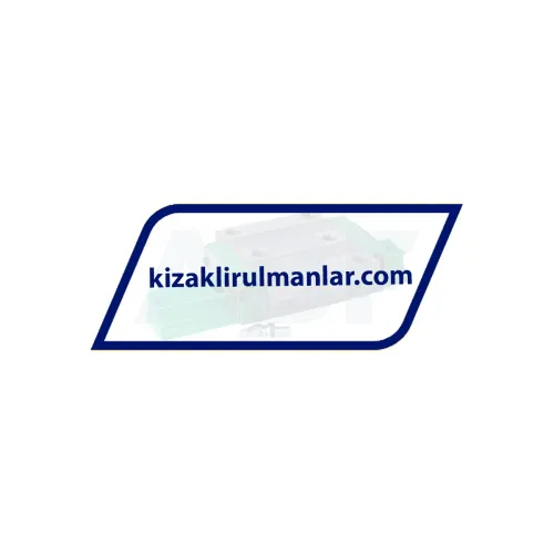 INA KWVE25-B-N-V1-G3
