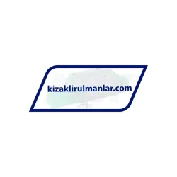 INA KWVE25-B-N-V1-G3