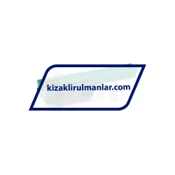 INA KWVE25-B-N-V1-G3 rulman resim 2