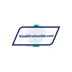INA KWVE25-B-N-V1-G3 rulman resim 3