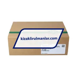 INA KWVE25-B-N-V1-G3 rulman resim 4