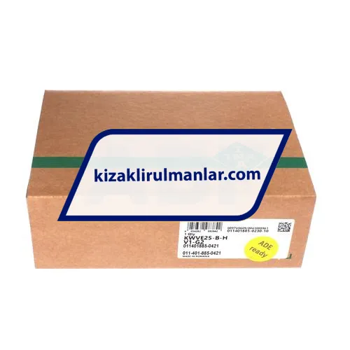 INA KWVE25-B-H-V1-G2 ürün fotoğrafı 4