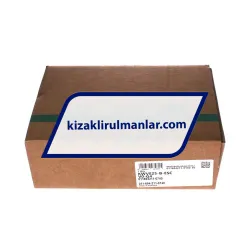 INA KWVE25-B-ESC-V0-G4 rulman resim 4