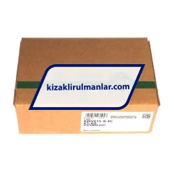 INA KWVE15-B-EC-V1-G2 rulman resim 4