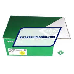 INA RWU45-E-H-V2-G1 rulman resim 4